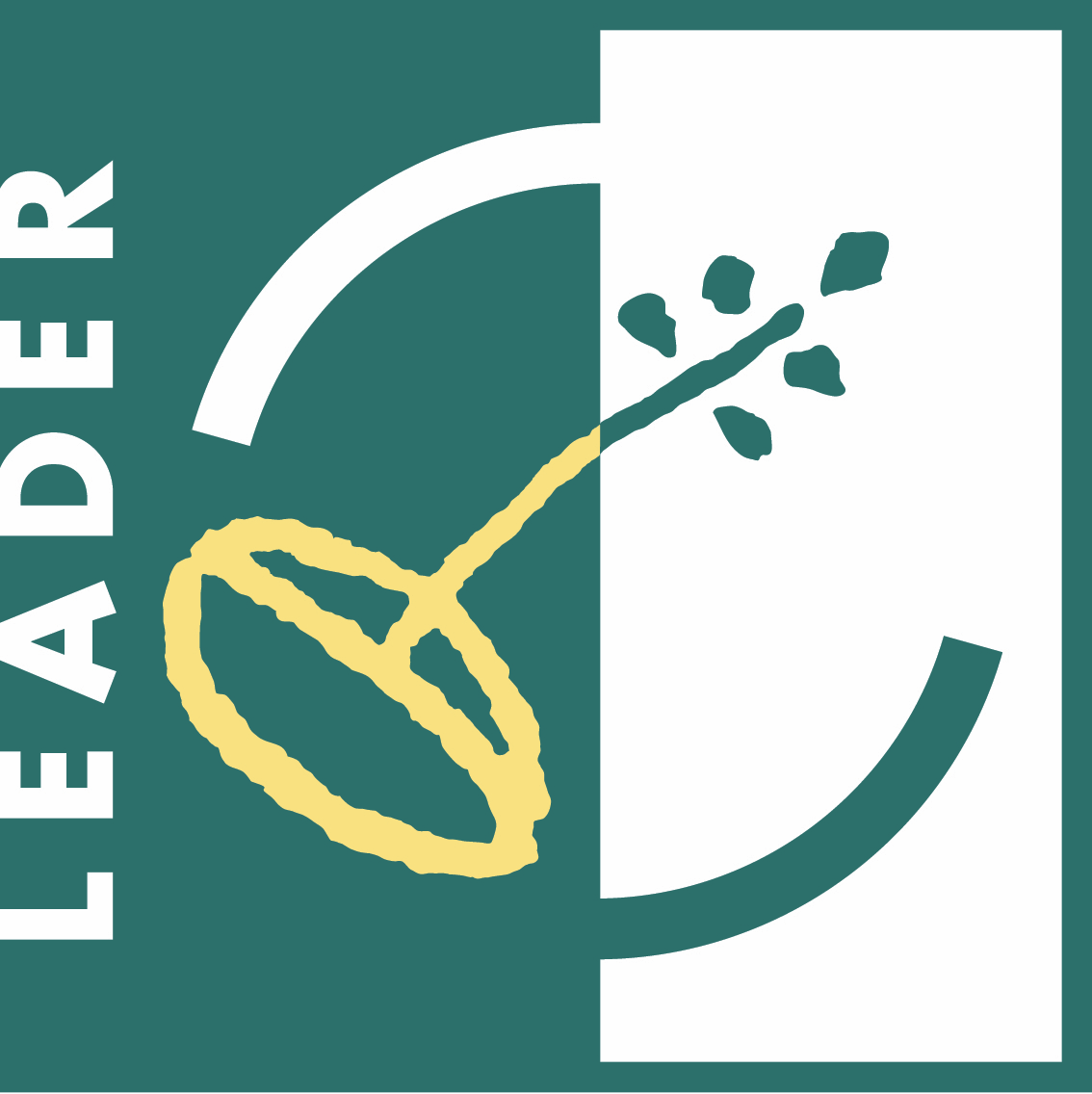 Proyecto Leader